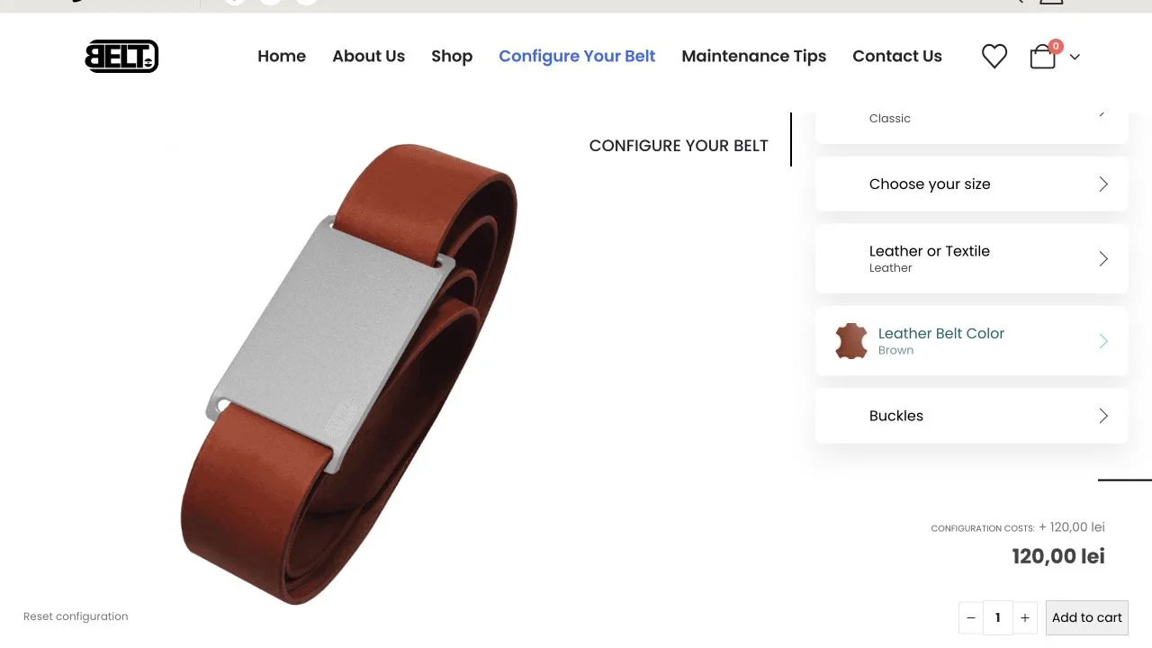 Screenshot of the public website Belt